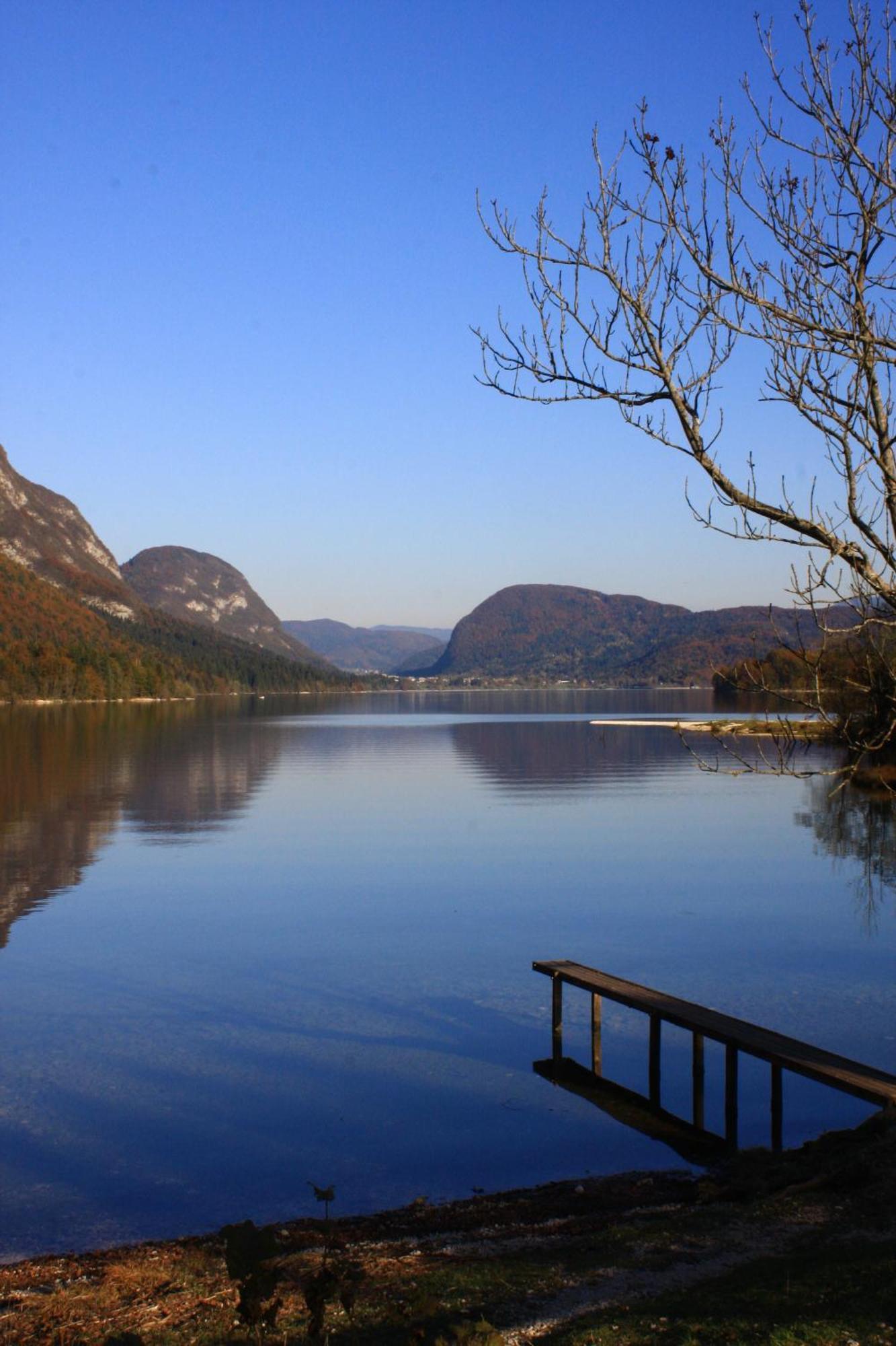 Apartments Susnik Bohinj Eksteriør billede