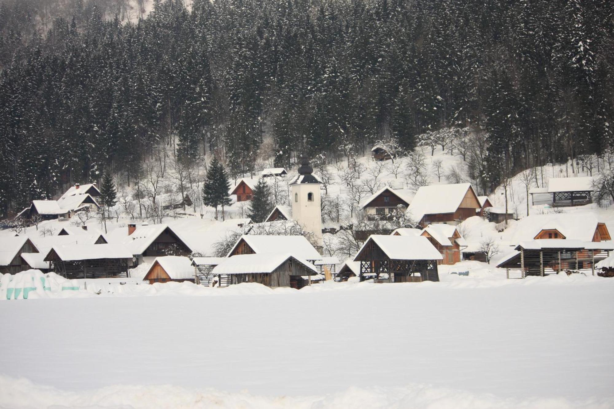 Apartments Susnik Bohinj Eksteriør billede